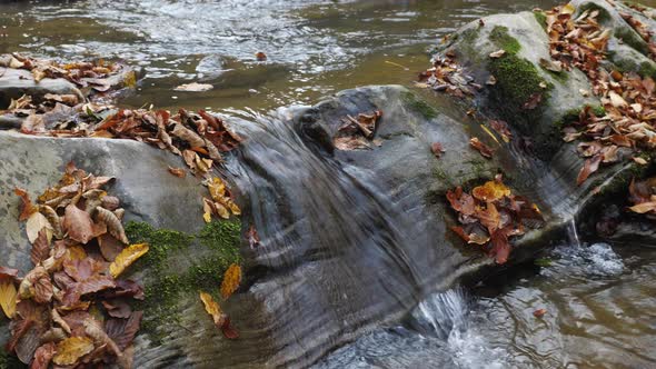 Water flowing on a rock alt