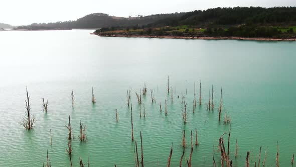 Blue Lake and forest alt