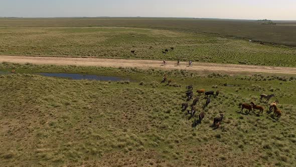 Cyclists traveling on dirt road, Ibera Wetlands, Corrientes Province, Argentina alt