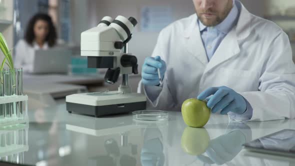 Lab Assistant Injecting Apple With Portion of Pesticide for Marketable Condition alt