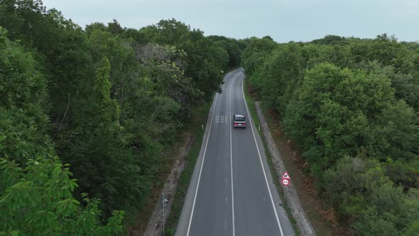 classical car on forest road alt