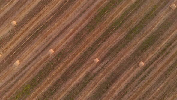 Aerial View of the Pattern of Straw Rolls on the Field alt