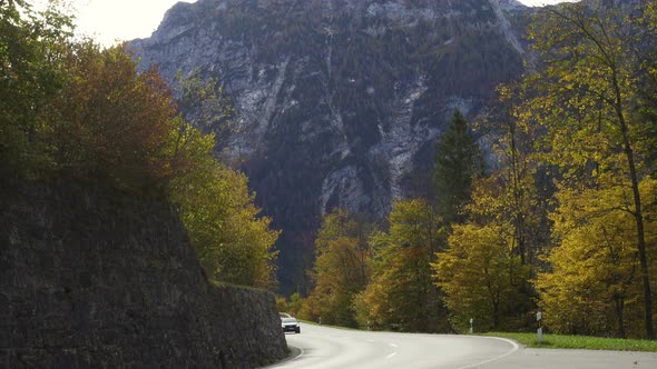 Car On An Autumn Road 6 alt