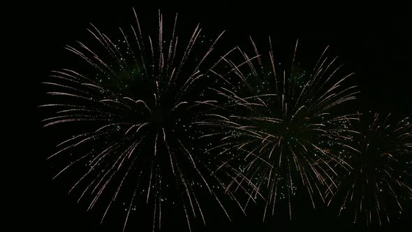 Colorful Firework display at night on sky background alt