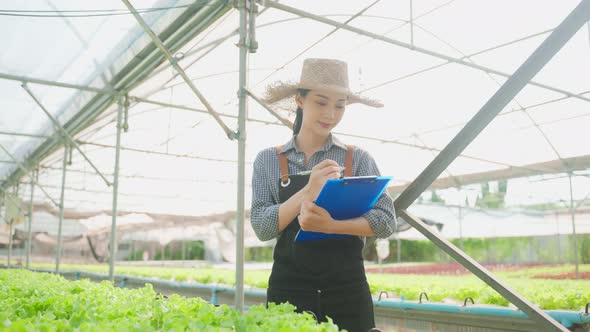 Asian young beautiful woman farmer work in vegetables hydroponic farm. alt