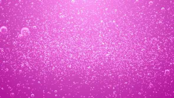Pink Soda Bubbles Background with Loop