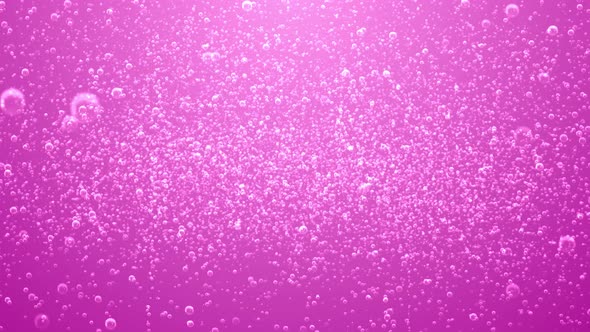 Pink Soda Bubbles Background with Loop alt