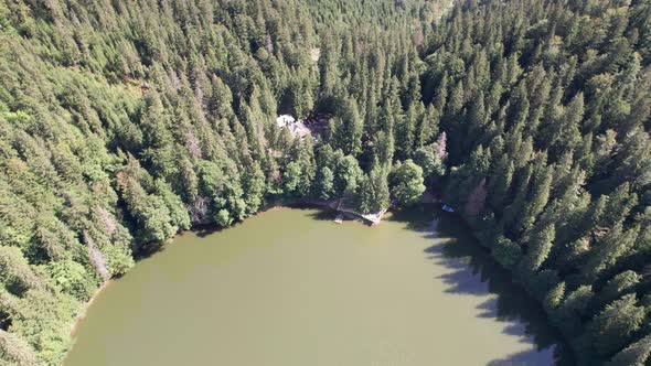 Aerial View of Synevyr Lake in Carpathians Ukraine Europe alt