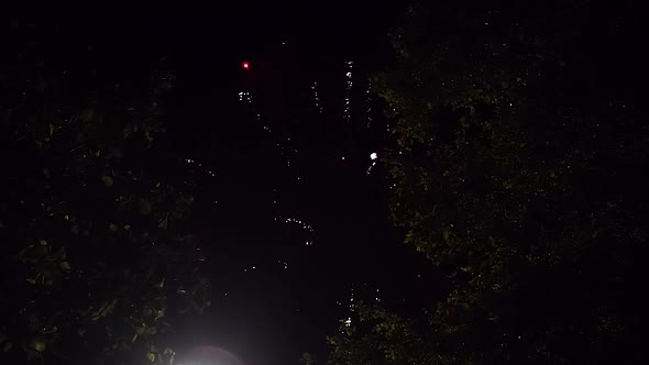 Colorful Fireworks scene in slow motion surrounded by trees at night alt