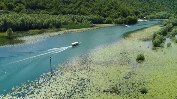 Motor Boat Floats on a Crnojevica River Framed By Water Lilies