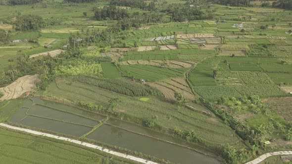 Aerial View of Rice Fields and Villages Near Mount Agung alt