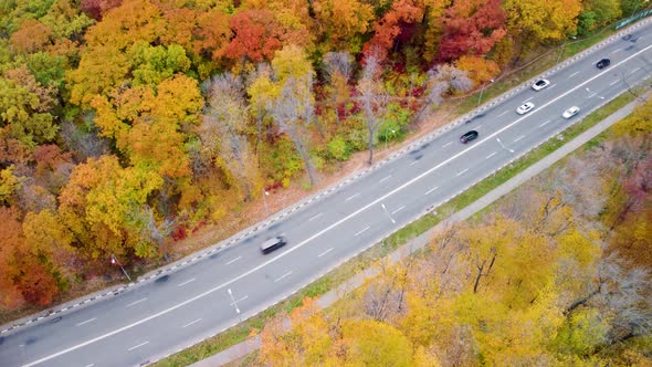 Aerial cars driving road in yellow autumn forest
