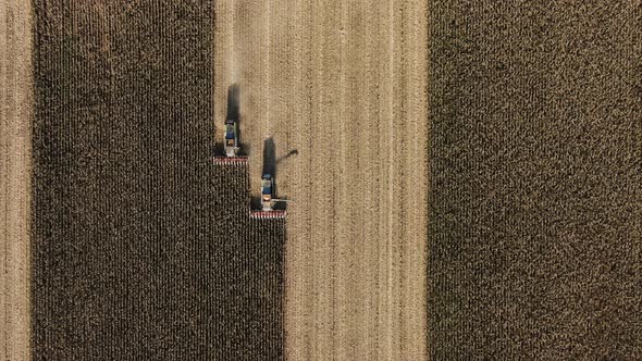 Combine Harvester Agricultural Machine Collecting Golden Ripe Corn on the Field