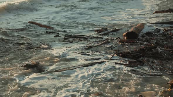 Foamy waves gurgle and wash drift wood to the shore. Close-up. alt