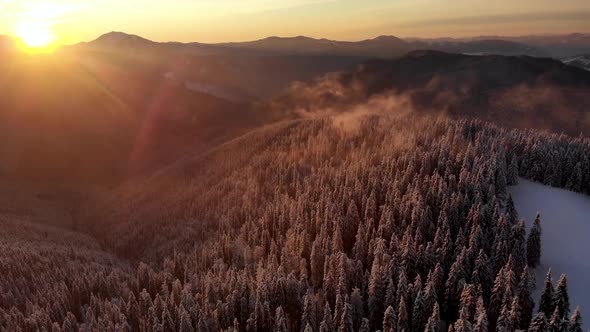 Drone Fly Spin Above Winter Forest Unveiling Mountain Valley