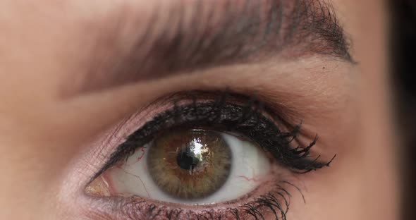 Cropped Footage of Attractive Young Woman with Artificial Eyelashes Smiling