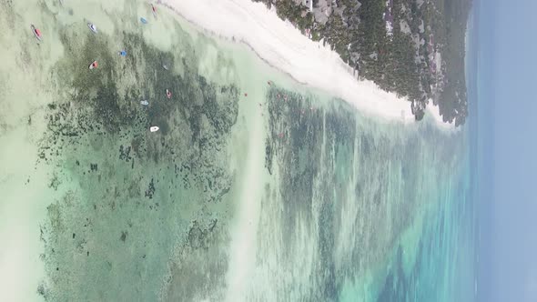 Vertical Video of the Coast of Zanzibar Island Tanzania Slow Motion alt