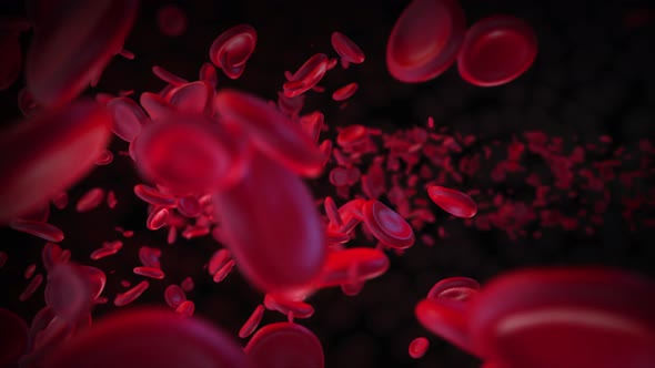 Red Blood Cells Flowing On Black
