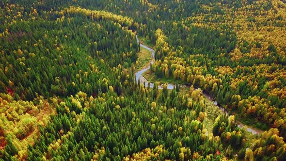 Colorful Mixed Forest with Red, Yellow, and Green Foliage in Autumn. Aerial View of Deciduous and alt