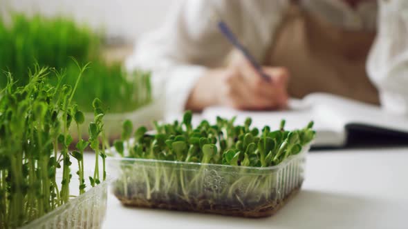 Girl Blogger On Healthy Eating. Young Female Gardener Writes Against Background Of Plant Sprouts alt