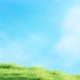 Swaying Grass Slow with Sky Loop - VideoHive Item for Sale