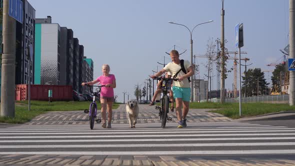 Life with Pets in the Modern City - a Family with Bikes and a Big Dog Crossing the Road