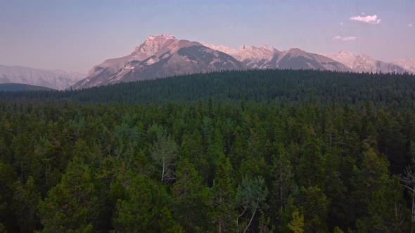 Mountain and forest in the evening alt