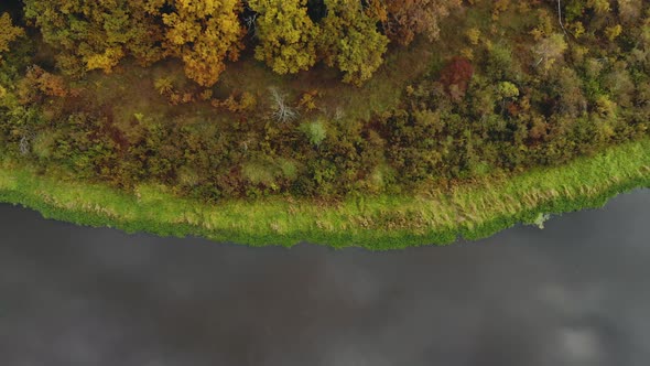 The Shore of a Forest Lake in a Golden, Multicolored Autumn, Shot From a Quadrocopter alt