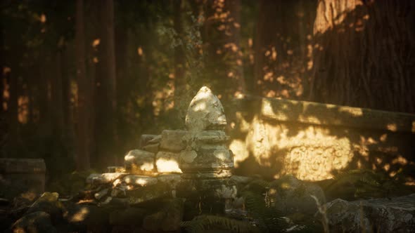 Hoary Ruins of Ancient City in Pine Forest alt