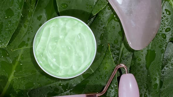 Green Cosmetic Cream with Rotation on Background of Tropical Leaves Monstera alt