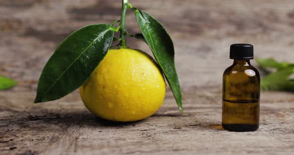 perfumes of Yellow Bergamot of Calabria  alt