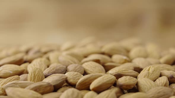 Macro Shot of Dried Rotating Almond alt