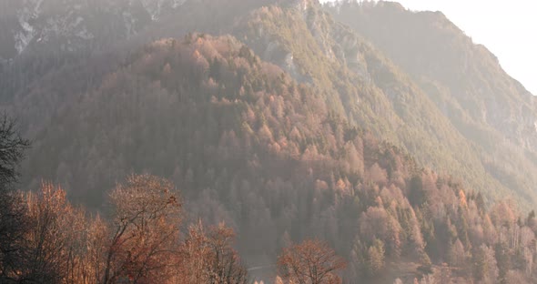 Tilt Down From a Beautiful Mountain in the Morning to a Group of Cows Eating Hay