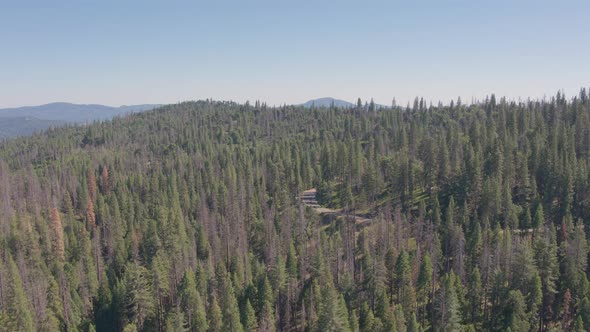 Aerial Drone Shot of Cars on a Mountain Road in California Wilderness (Sierra National Forest, CA)