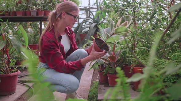 Young Girl Greenhouse Worker Carefully Checks Plants and Flowers for Parasites