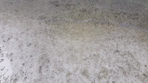 Ocean Coral Reef and Beach Shallow at Low Tide Zanzibar Matemwe Top Aerial alt