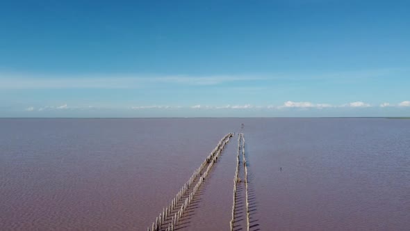 Glittering Water Surface of Red Salt Lake  Stock Video
