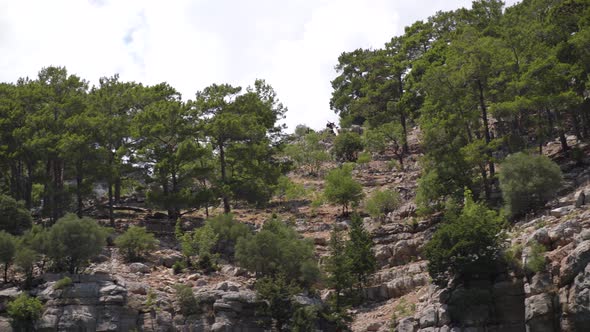 Panorama of Mountain Rocks