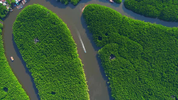 4K Aerial view of mangrove forest at khao jom pa, trang, Thailand. 4k Footage alt