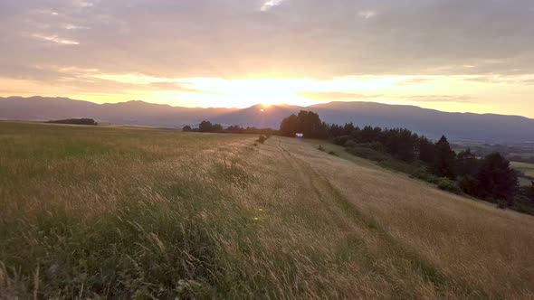 Sunset over Golden Meadow Landscape alt