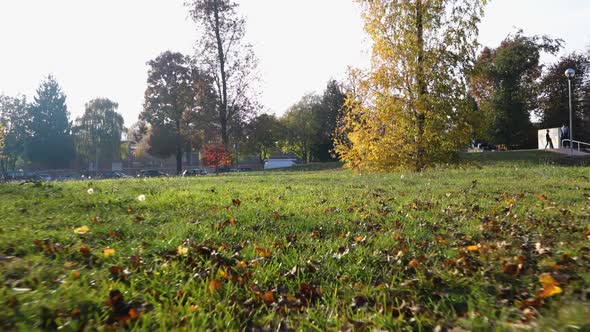 POV Walking on Lawn in Urban City Park on a Autumn Sunny Day alt