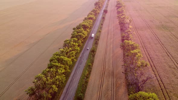 Drone Flying Over Road Between Wheat Fields During Dawn Sunset alt