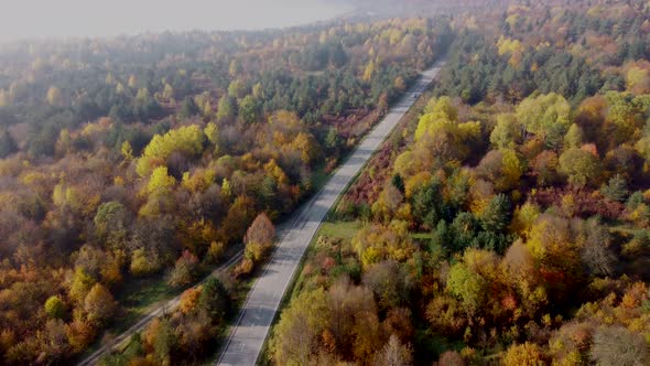 Autumn colors and mountain road aerial view alt