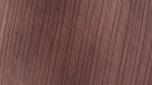 Flying Over Brown Plowed Agricultural Field Prepared for Sowing Aerial View alt