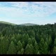 Aerial panoramic landscape with forest view. Green forest and mountains - VideoHive Item for Sale
