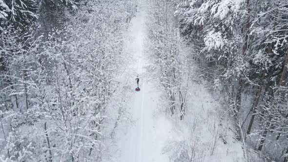 Mom and Son Ride Tubing in the Winter Frosty Forest alt