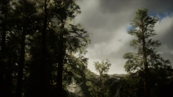 Fog and Pine Trees on Rugged Mountainside and Coming Storm alt
