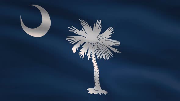 South Carolina State Flag Background 4K alt