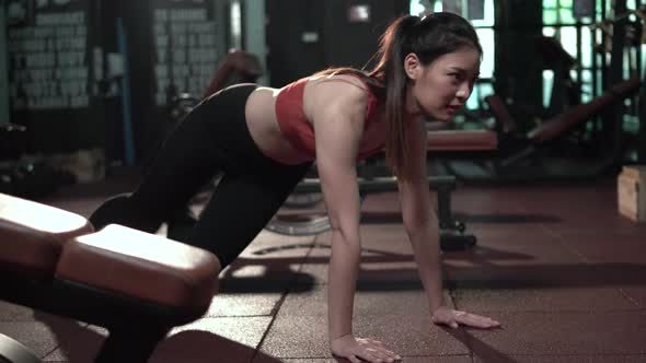 Young fit woman exercising in a gym, Sportswoman exercising in gym fitness