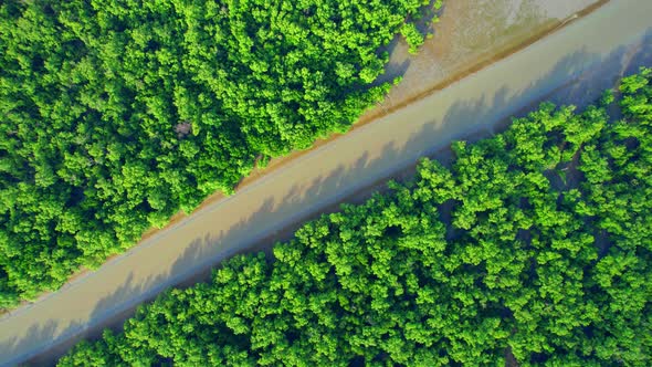 4K : Aerial view over mangrove forest at Khlong Khon, Samut Songkhram, Thailand alt